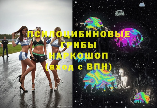 ГАЛЛЮЦИНОГЕННЫЕ ГРИБЫ Алексин