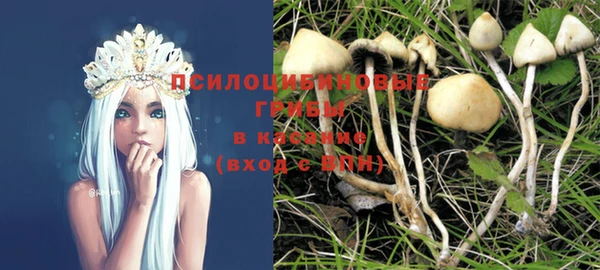 круглые Алзамай
