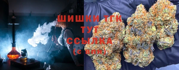 ГАЛЛЮЦИНОГЕННЫЕ ГРИБЫ Алексин