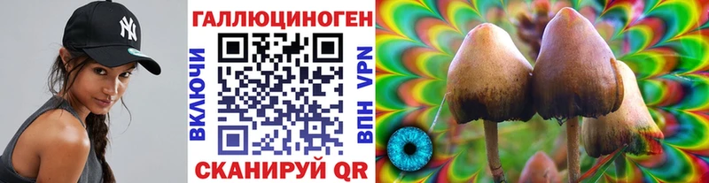 ссылка на мегу ссылка Салехард Галлюциногенные грибы мухоморы